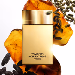 TOM FORD Noir Extreme Parfum 100 ml Hommes - Vue supplémentaire 5