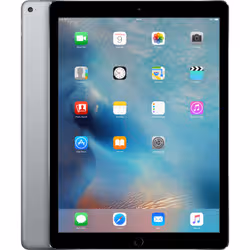 Apple iPad Pro 32 Go 32,8 cm (12.9") Wi-Fi 5 (802.11ac) iOS Gris - Vue supplémentaire 2