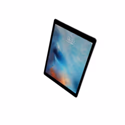 Apple iPad Pro 32 Go 32,8 cm (12.9") Wi-Fi 5 (802.11ac) iOS Gris - Vue supplémentaire 4
