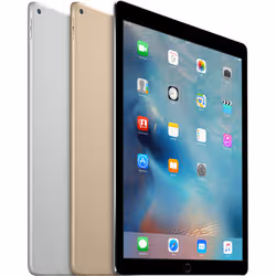 Apple iPad Pro 32 Go 32,8 cm (12.9") Wi-Fi 5 (802.11ac) iOS Gris - Vue supplémentaire 8