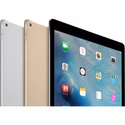 Apple iPad Pro 32 Go 32,8 cm (12.9") Wi-Fi 5 (802.11ac) iOS Gris - Vue supplémentaire 9