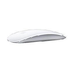 Apple Magic Mouse 2 souris Ambidextre Bluetooth