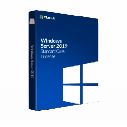 MS Windows Svr Std 2019 64Bit French 1pk DSP OEI DVD 16 Core (P73-07789)