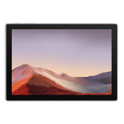 Microsoft Surface Pro 7 256 Go 31,2 cm (12.3") 8 Go Windows 10 Home Platine