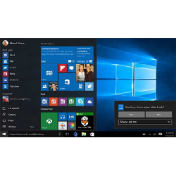 Microsoft Windows 10 Professional