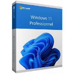 Microsoft Windows 11 Pro 1 licence(s)