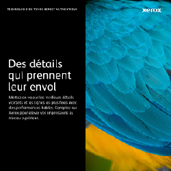 Xerox CARTOUCHE DE TAMBOUR