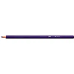 BIC 9641481 crayon de couleur 24 pièce(s)