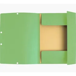 Exacompta 55513E fichier Carton Vert A4