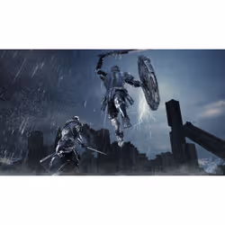 BANDAI NAMCO Entertainment Dark Souls II - Collector's Edition Collection Allemand, Anglais, Chinois simplifié, Coréen, Espagnol, Français, Italien, Polonais, Portugais, Russe PC - Vue supplémentaire 2