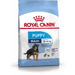 Royal Canin Maxi Puppy 4 kg Chiot Volaille, Riz