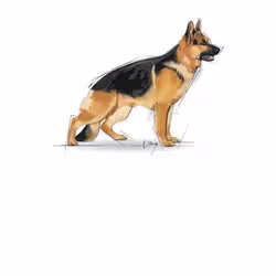 Royal Canin Maxi Adult 4 kg Adulte Légumes - Vue supplémentaire 2