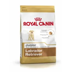 Royal Canin Labrador Retriever Junior 12 kg Chiot Maïs, Volaille, Riz