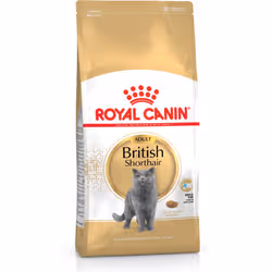 Royal Canin British Shorthair croquette pour chat 2 kg Adulte