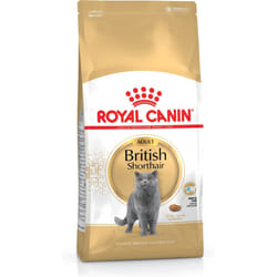 Royal Canin British Shorthair croquette pour chat 2 kg Adulte