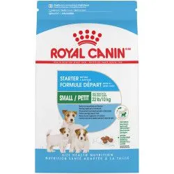 Royal Canin Starter Mother And Babydog 1 kg Adulte Poulet