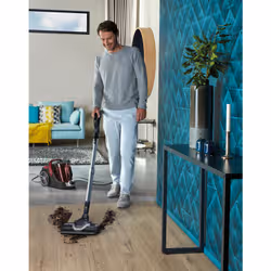 Rowenta Silence Force RO725 2,5 L Aspirateur réservoir cylindrique Sec 550 W Sans sac - Vue supplémentaire 2