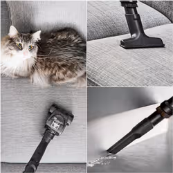 Rowenta Green Force RO7C71 2,5 L Aspirateur réservoir cylindrique Sec 500 W Sans sac - Vue supplémentaire 5