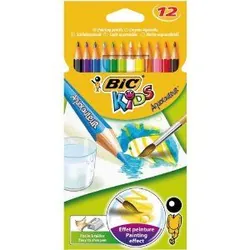 BIC Aquacouleurs 12 pièce(s)