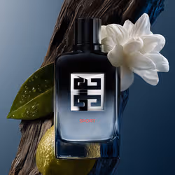Givenchy Gentleman Society Sport 100 ml Hommes - Vue supplémentaire 3