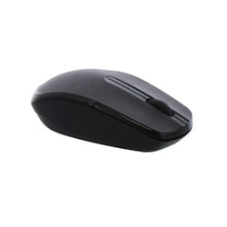 T'nB MS2UW souris