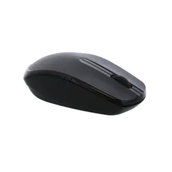 T'nB MS2UW souris