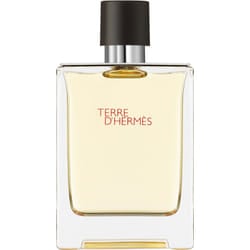 HERMÈS Terre d'Hermès 100 ml