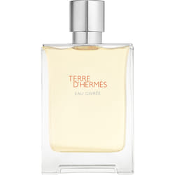 HERMÈS Terre d'Hermès Eau Givrée 100 ml