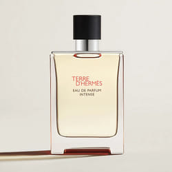 Hermes Terre d'Hermès Intense 100 ml