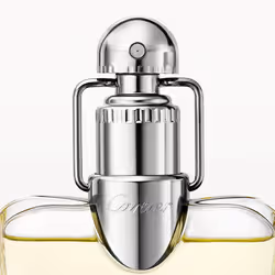 Cartier Déclaration 100 ml Hommes - Vue supplémentaire 2