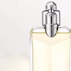 Cartier Déclaration 100 ml Hommes - Vue supplémentaire 3