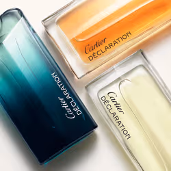 Cartier Déclaration 100 ml Hommes - Vue supplémentaire 5