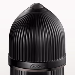 Cartier Pasha Noir Absolu 100 ml Hommes - Vue supplémentaire 2