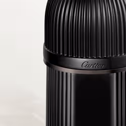 Cartier Pasha Noir Absolu 100 ml Hommes - Vue supplémentaire 3