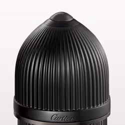 Cartier Pasha Noir Absolu 50 ml Hommes - Vue supplémentaire 2