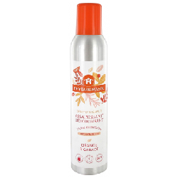 Phytaromasol Assainissant Orange Bigarade 250ml Dietaroma