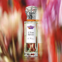 Sisley L'eau Rêvée D'aria Femmes 100 ml - Vue supplémentaire 3
