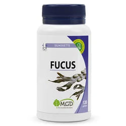 Mgd Nature Fucus – 120 Gélules