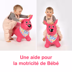 LUDI MON CHIEN SAUTEUR Rose - Vue supplémentaire 8