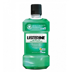 Listerine Bain De Bouche Protection Dents Et Gencives Bouteille 250 ml
