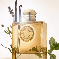 Burberry Goddess Intense 100 ml Femmes - Vue supplémentaire 3