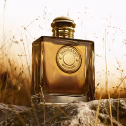 Burberry Goddess 100 ml Femmes - Vue supplémentaire 4
