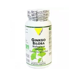Ginkgo Biloba Bio Extrait Standardise 500mg 60 Gélules Vit'All+