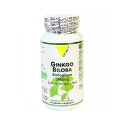 Ginkgo Biloba Bio Extrait Standardise 500mg 60 Gélules Vit'All+