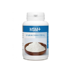 GPH MSM+ 520mg 60gelules