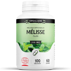 GPH Melisse 250mg 100gelules