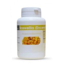 GPH Boswellia “encens Extrait” 270mg 100gelules