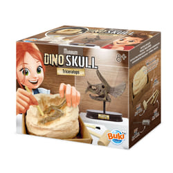 Buki Museum dino skull - tricératops