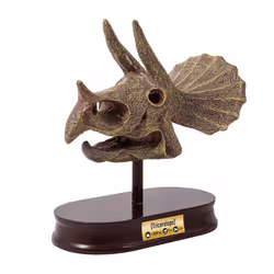 Buki Museum dino skull - tricératops - Vue supplémentaire 5