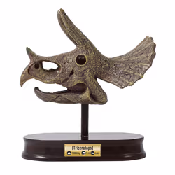Buki Museum dino skull - tricératops - Vue supplémentaire 6